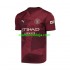 Camisola Manchester City Homem Equipamento Terceiro 2024-2025 Manga Curta
